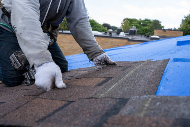 Best Metal Roofing Contractor  in Lackawanna, NY