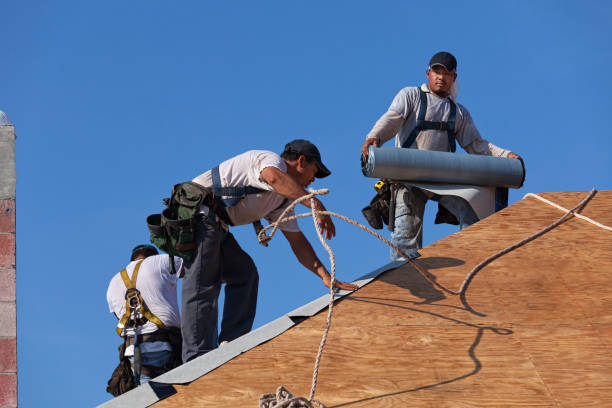 Roof Gutter Cleaning