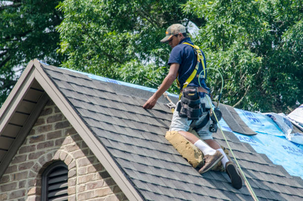 Best Roof Repair Services  in Lackawanna, NY